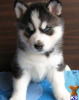 Наталья Шерстнёва | Москва