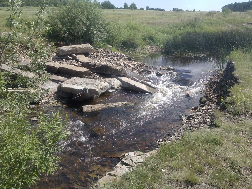 Николай Василевский | Миасс