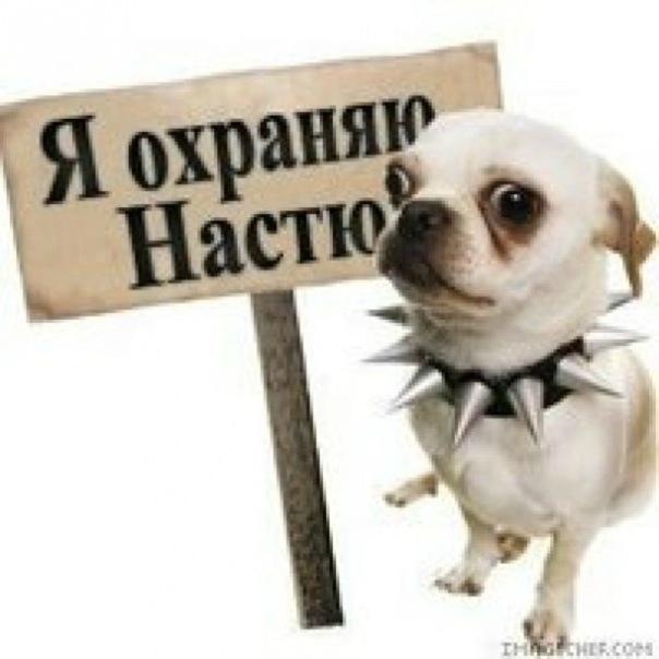 Анастасия Скоробогатова |
