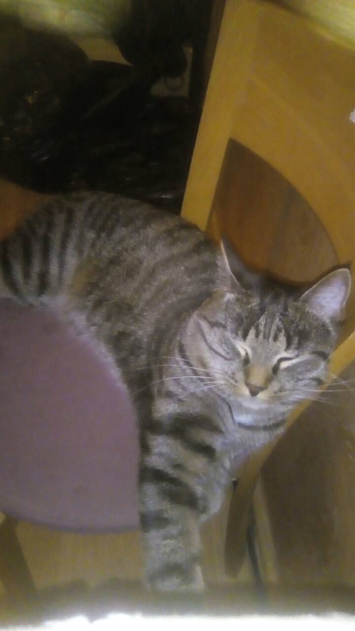 Роман Горюнов | Санкт-Петербург