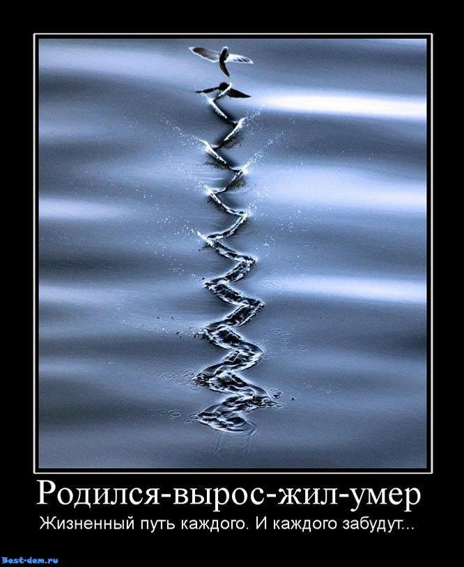 Максим Глушков | Липецк