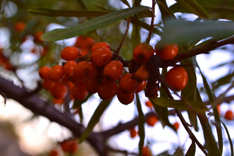 Валя Чиркова | Ижевск