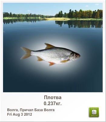 Влад Белоусов | Горловка