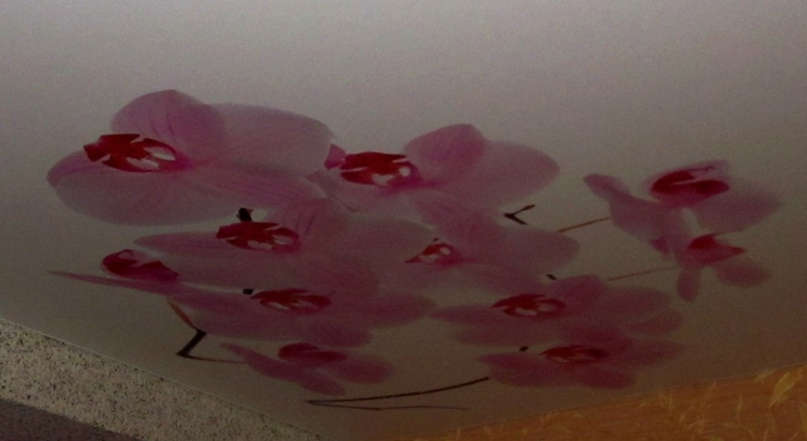 Сергей Зайцев | Пудож