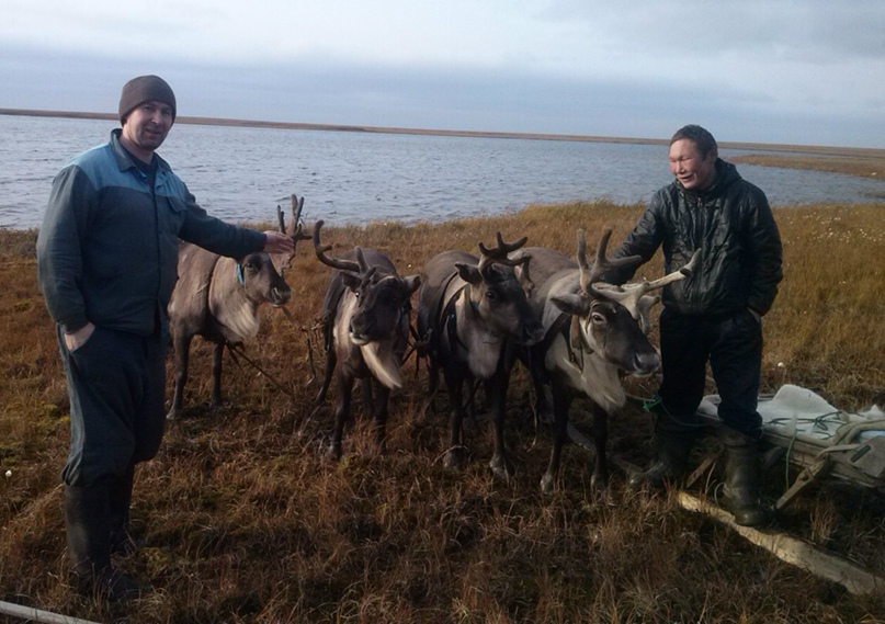 Василий Лесников | Пермь