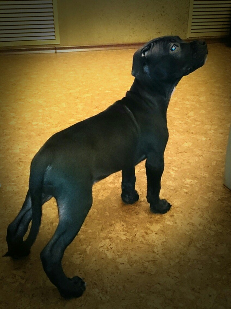 Инна Руденко | Лесколово