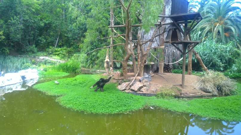 Лёха Палаткин | Калининград