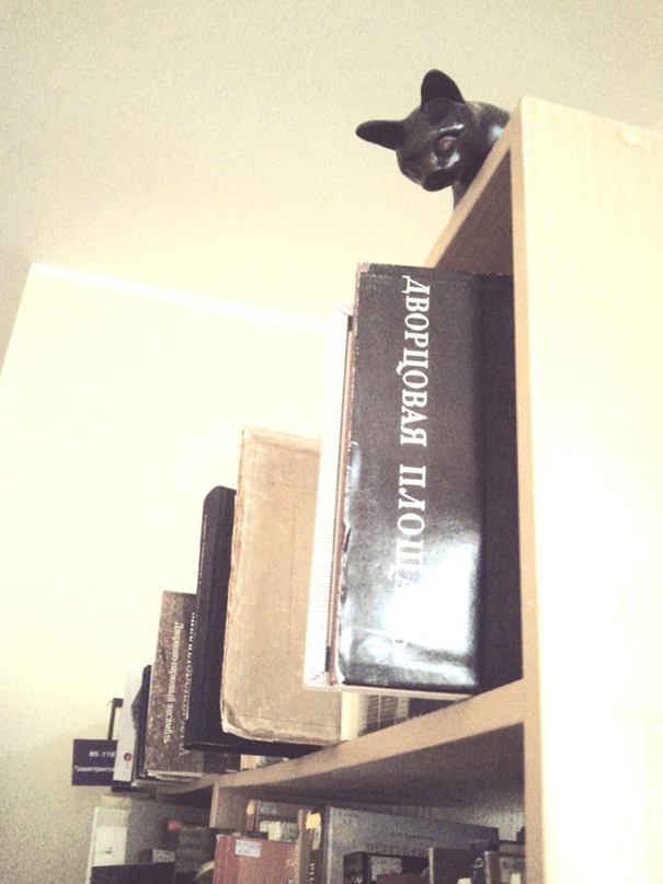 Ксения Микова | Ярославль