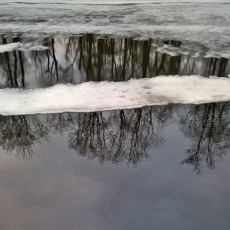 Наталья Медведева mish | Санкт-Петербург