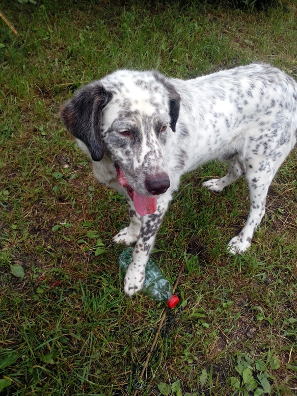 Ольга Кашина | Ува