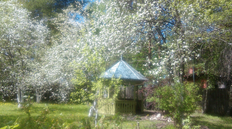 Наталья Казакова | Балашиха