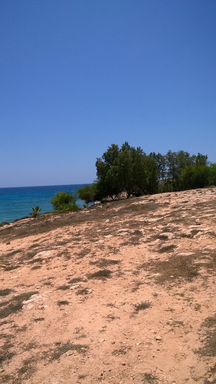 Дмитрий Климачёв | Фрязино