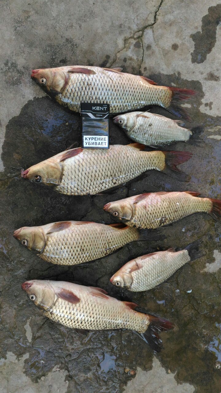 Сергей Молоков | Екатеринбург