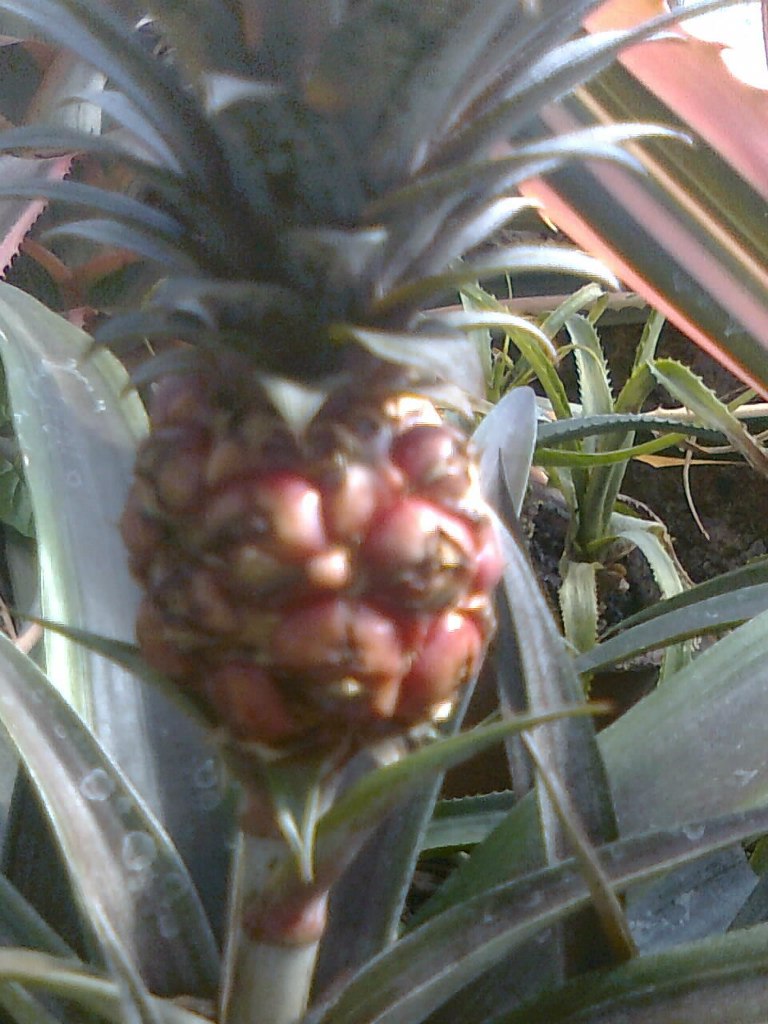 Надежда Жданова | Санкт-Петербург