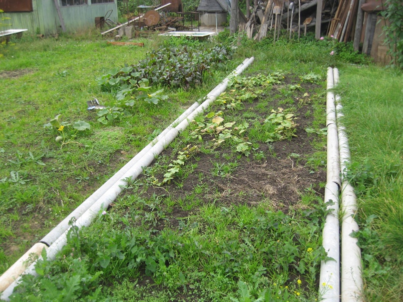 Олег Свиридов | Гатчина