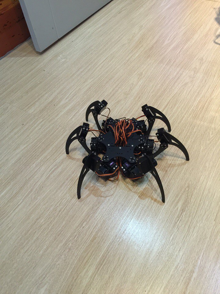 Дмитрий Селиверстов | Шатки