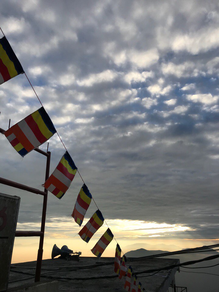 Алексей Трегубов | Москва