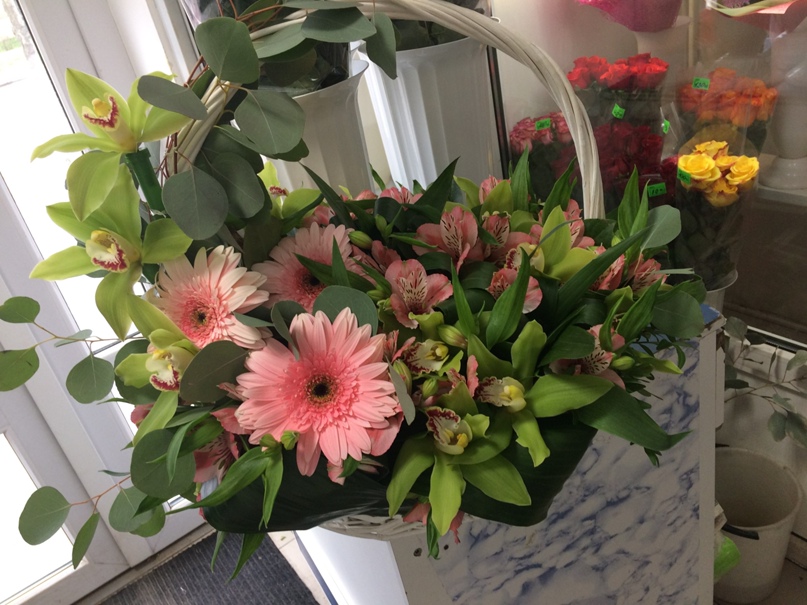 Натали Егорова | Курск