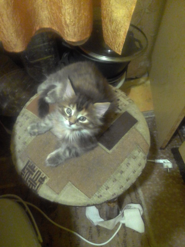 Ольга Брагина | Курган