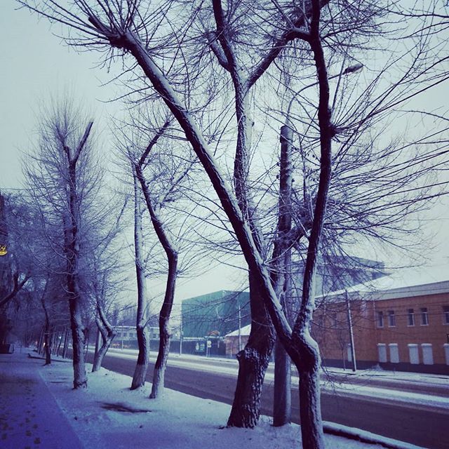 Дмитрий Мороз | Воронеж