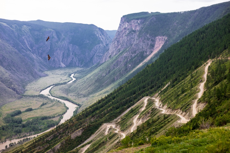 Юлия Сапрыкина | Новосибирск