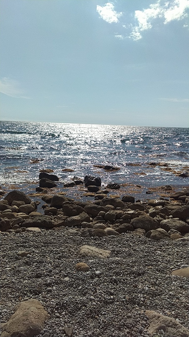 Сергей Антонов |