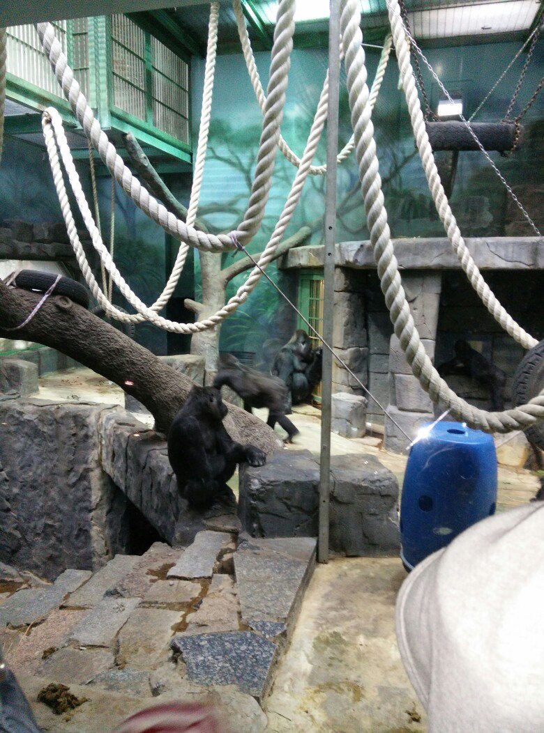 Артем Горбачёв | Жуковский