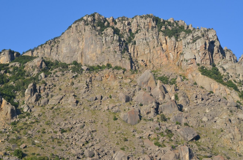 Юлия Зарецкая | Кривой Рог