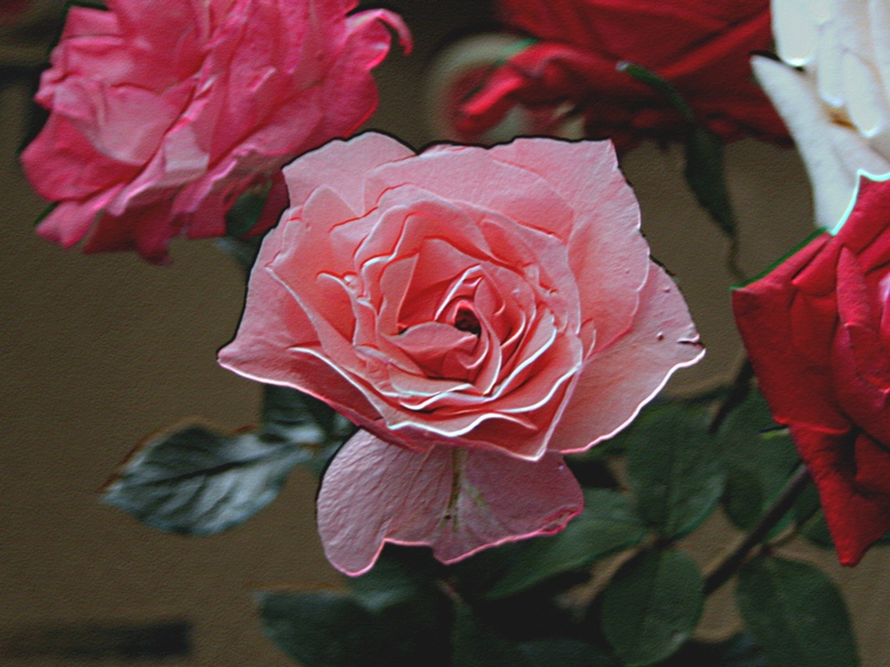 Александр Новожилов Bикторович | Алматы