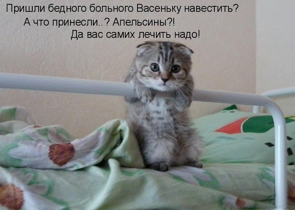 Полина Соболева | Ярославль