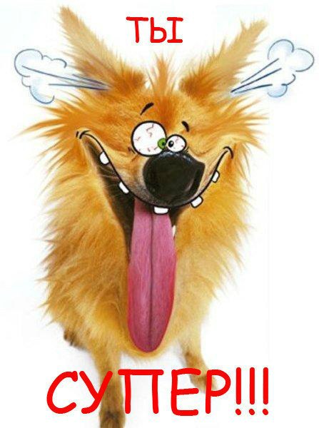 Макс Аксёнов | Балашиха