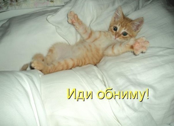 Игорь Сенников SensatioN | Москва