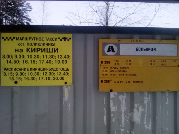 Расписание автобусов кириши будогощь сегодня. Автобус Будогощь Кириши. Расписание автобусов Кириши Будогощь. Расписание автобуса 260 г Кириши.