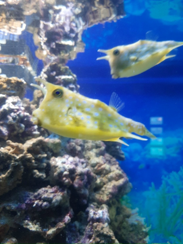 Паша Гурков | Архангельск