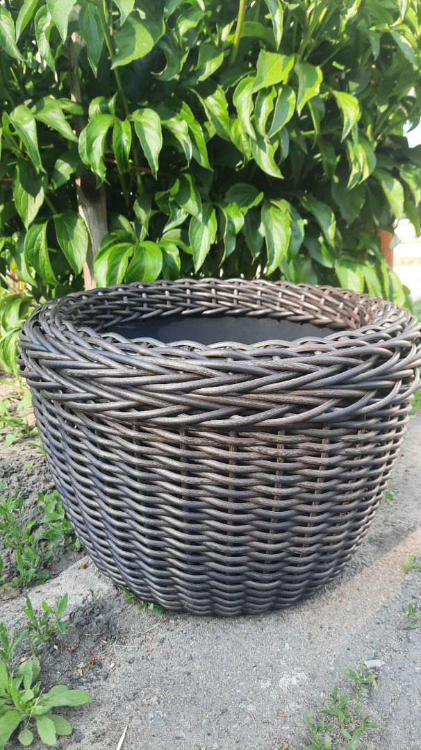 Елена Русских | Лиски