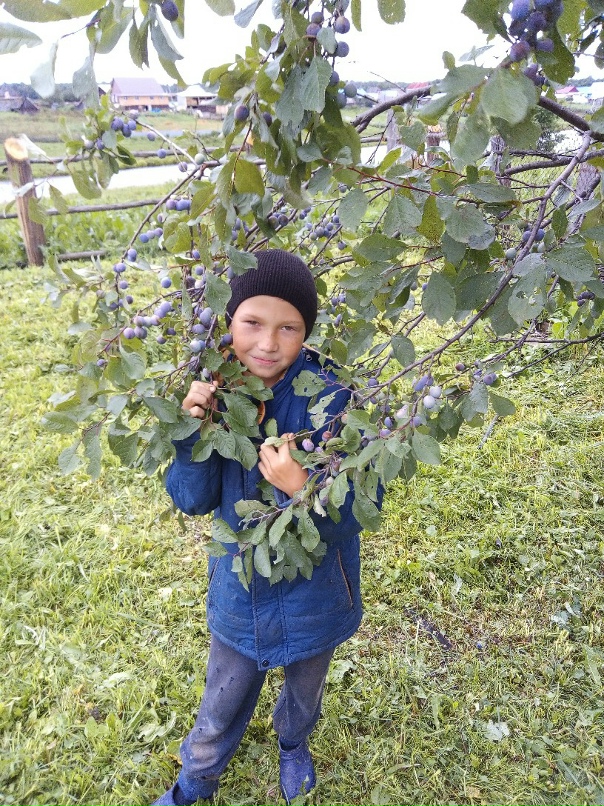 Алеся Каримова | Аша