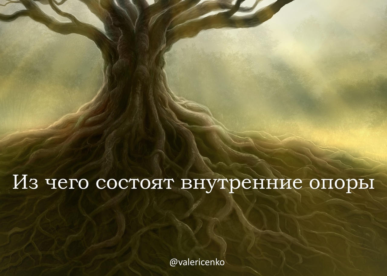 Корни дерева