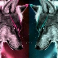 Антон Касимов | Уфа