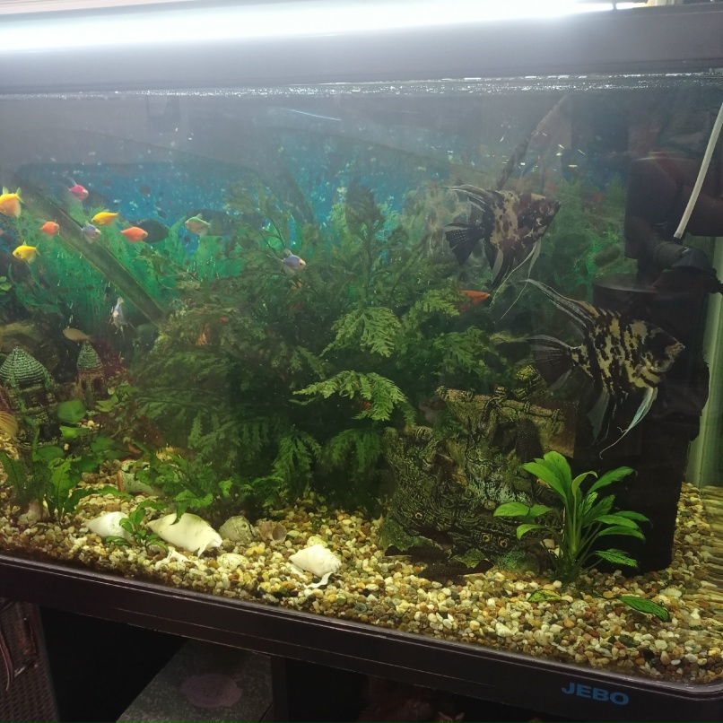 Ксения Авдеева | Саратов