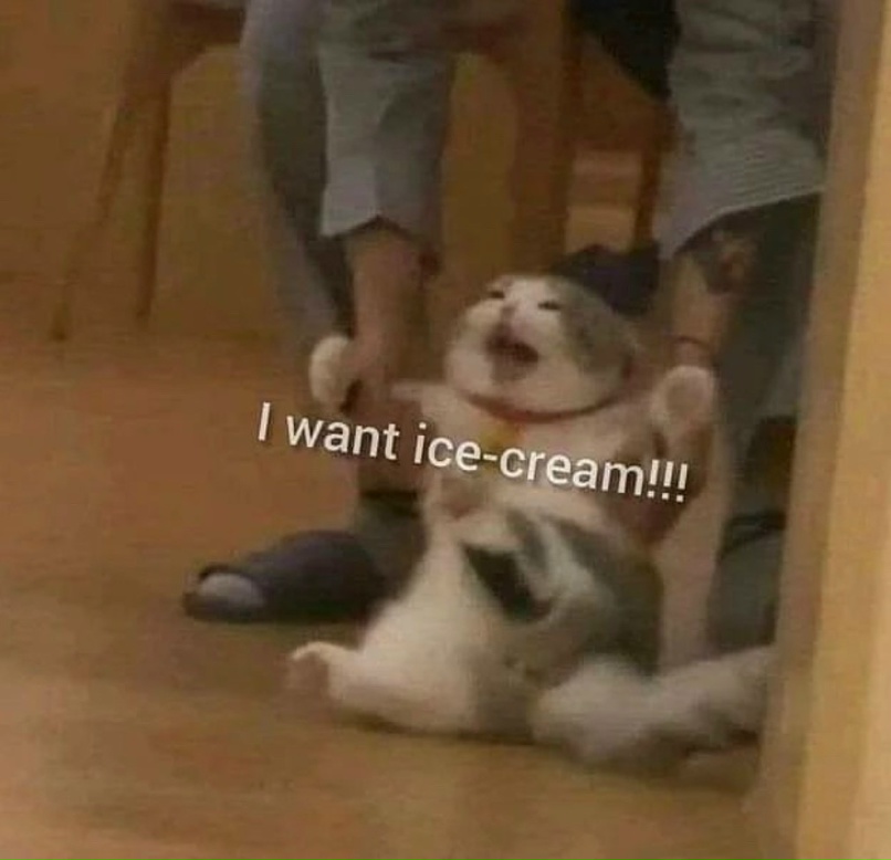 Мария Балабаева | Amman