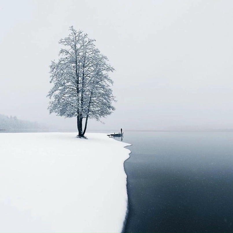 Олег Коваленко | Санкт-Петербург