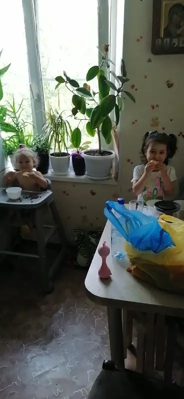 Рустам Мамедов | Видное