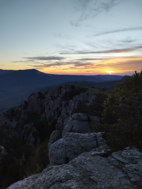 Анастасия Лисицина | Мичуринск