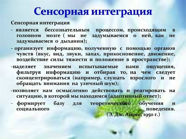 Стандартный Дом Совы Игровой