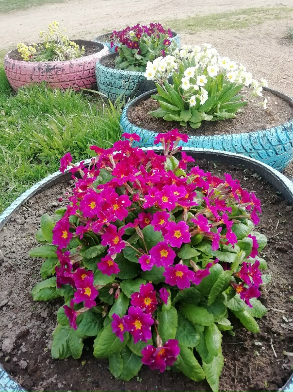 Ирина Сорокина | Ржев