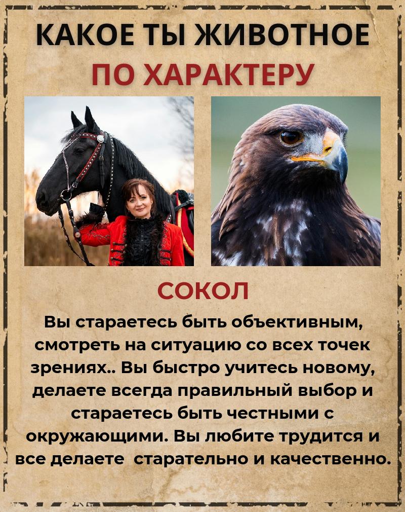 Любовь Токарева (Давыдова) | Санкт-Петербург