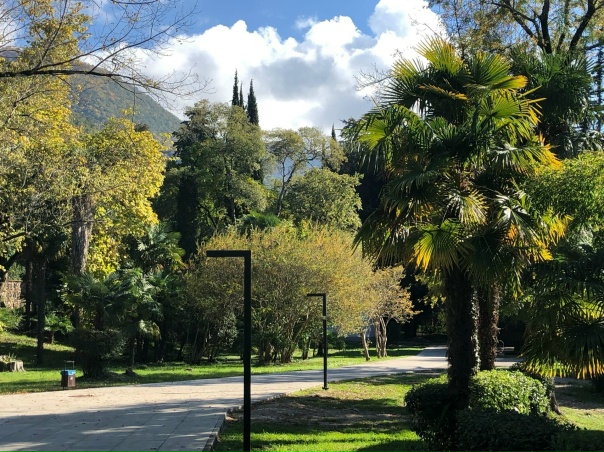 Приморский парк абхазия фото Приморский парк абхазия фото