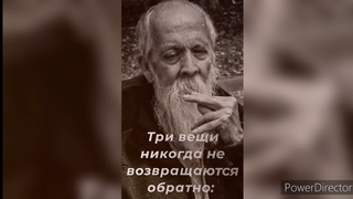 Мудрые мысли, Мудрые слова, Большой сборник мудрых цитат