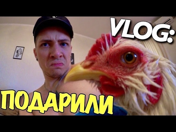 VLOG: МНЕ ПОДАРИЛИ ПЕТУХА, Андрей