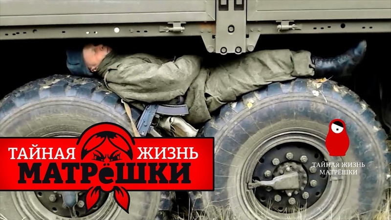Ну тупі Як у росії почалася зворотна еволюція Таємне життя